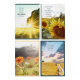 Praying for You Cards - Boxed (Pack of 12) 